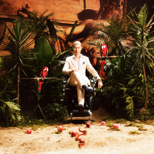 麻豆影视永久在线
