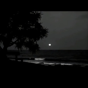 麻豆影视永久在线
