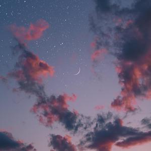 麻豆影视永久在线
